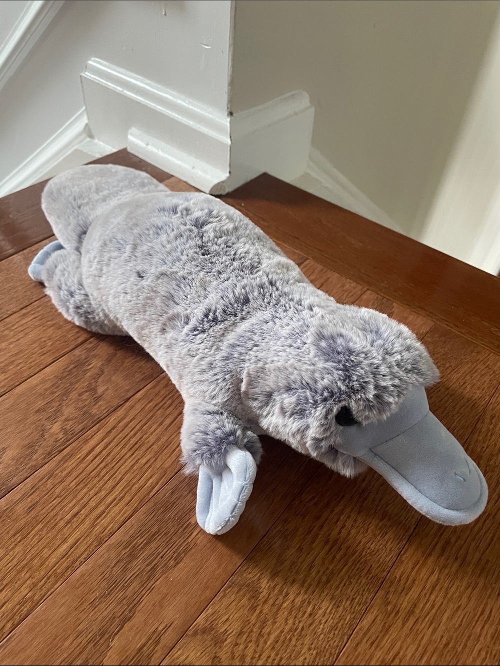 Douglas Light Blue/Grey Platypus